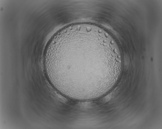 X0000073481278200608211616