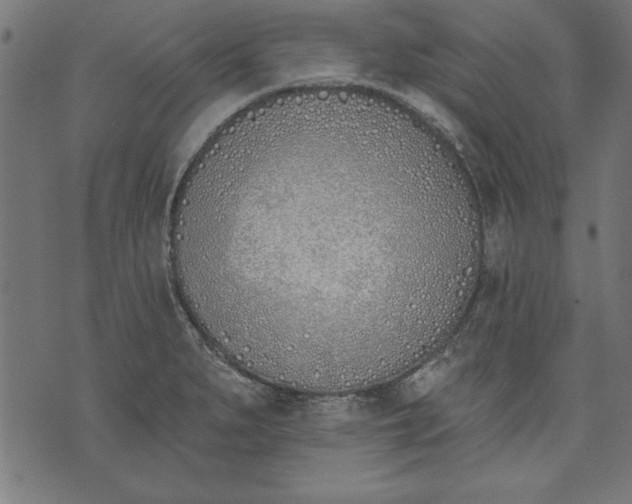 X0000073481279200608211616