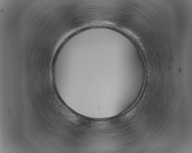 X0000073481280200608211615