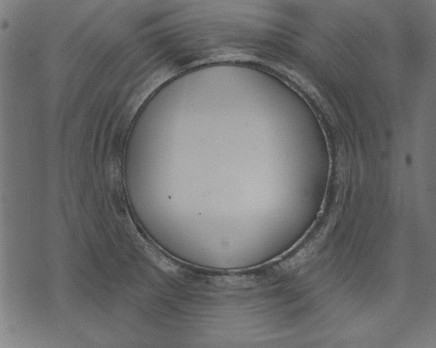 X0000073481281200608211615