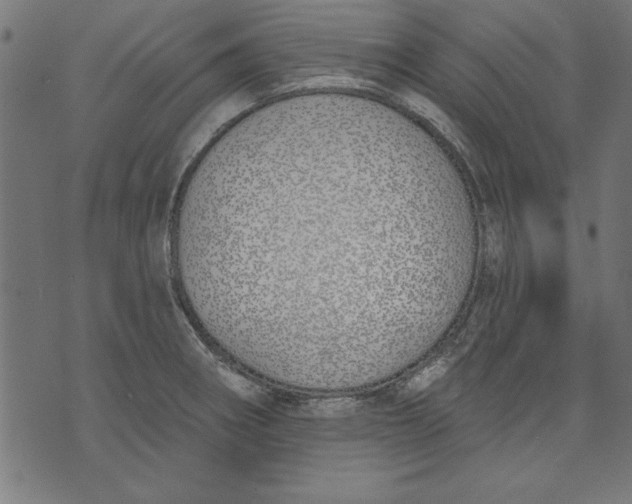 X0000073481282200608211615