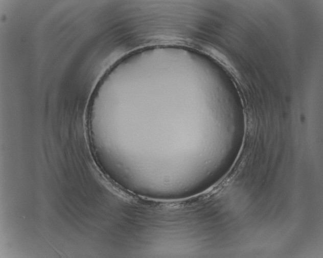 X0000073481283200608211615