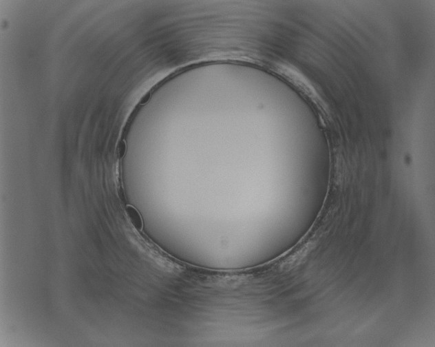 X0000073481284200608211615