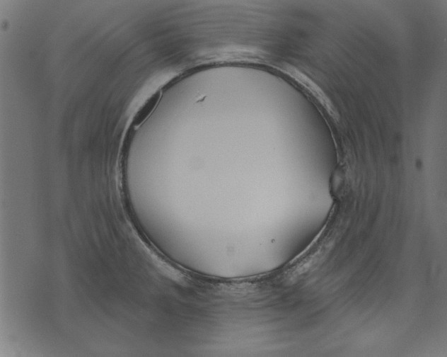 X0000073481285200608211615