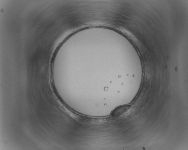 X0000073481286200608211615