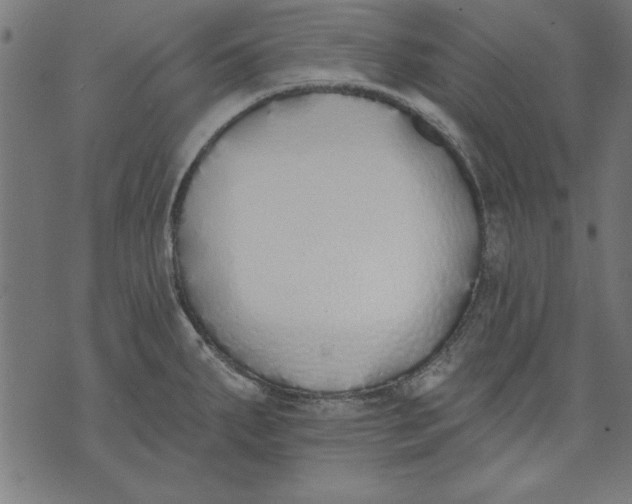 X0000073481287200608211615