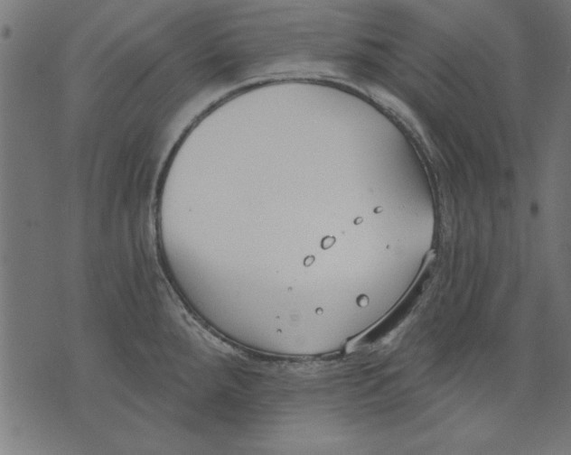 X0000073481288200608211615