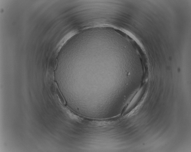 X0000073481289200608211615