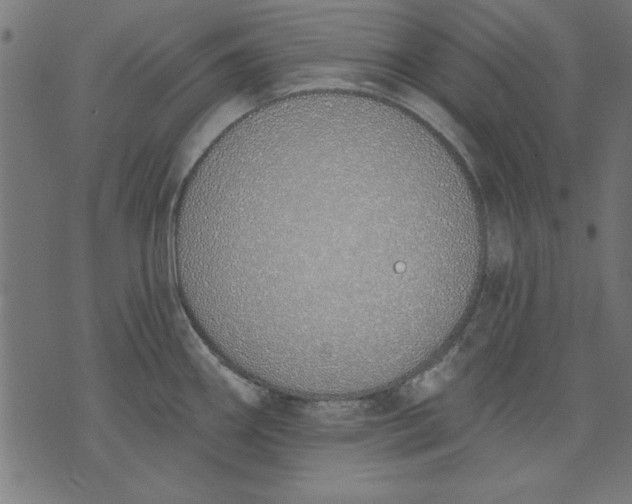 X0000073481290200608211615