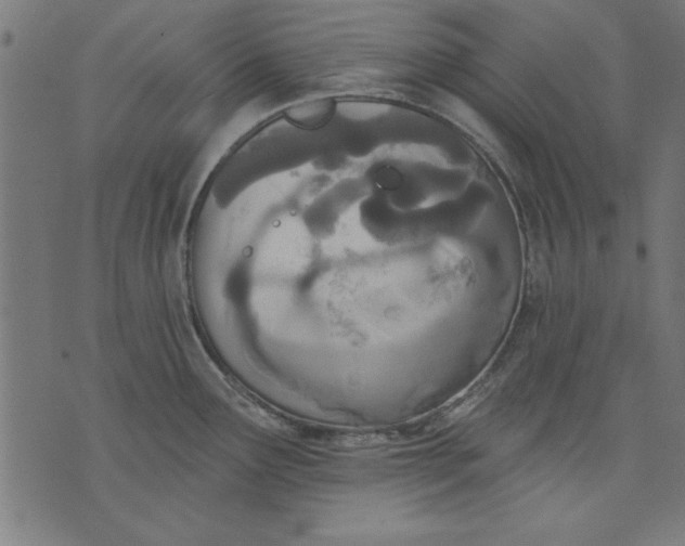 X0000073481291200608211615