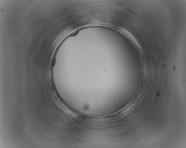 X0000073481292200608211615