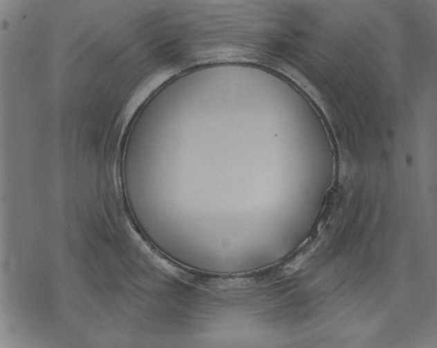 X0000073481293200608211615