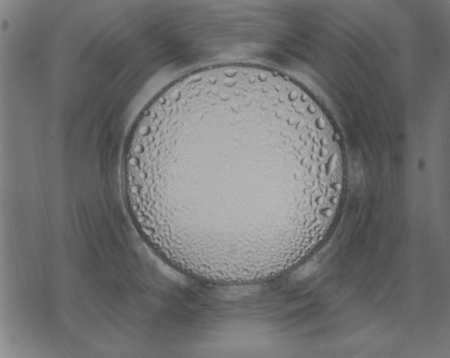 X0000073481294200608211615