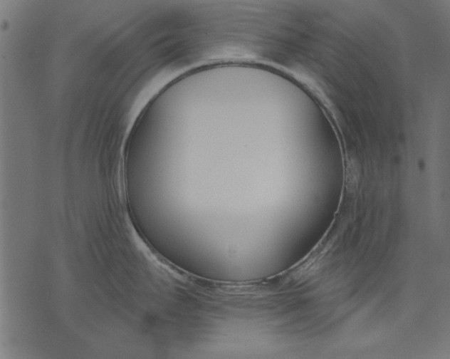 X0000073481295200608211615