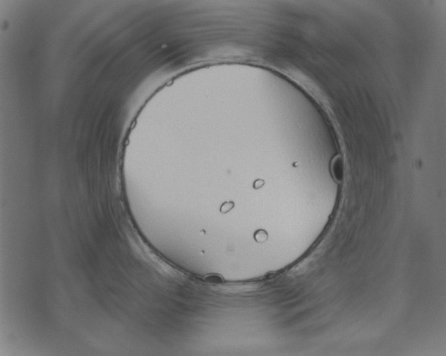 X0000073481296200608211615