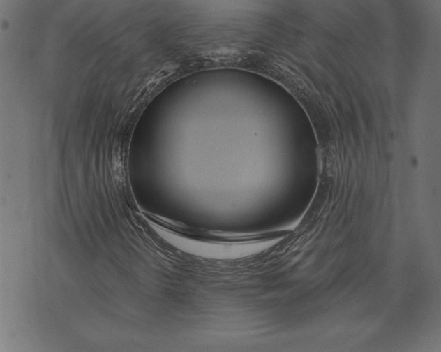 X0000073481298200608211614