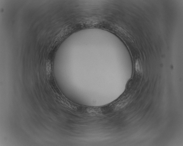 X0000073481299200608211614