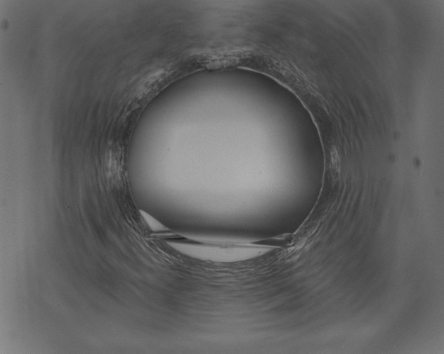 X0000073481300200608211615