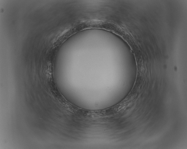 X0000073481301200608211615