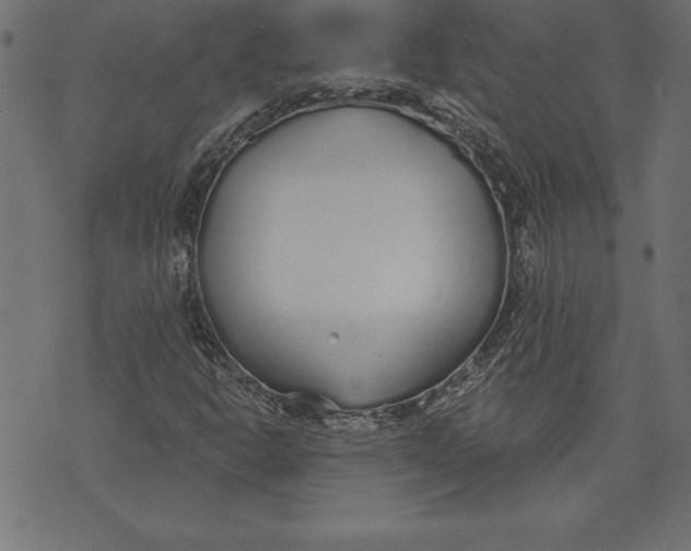 X0000073481302200608211615