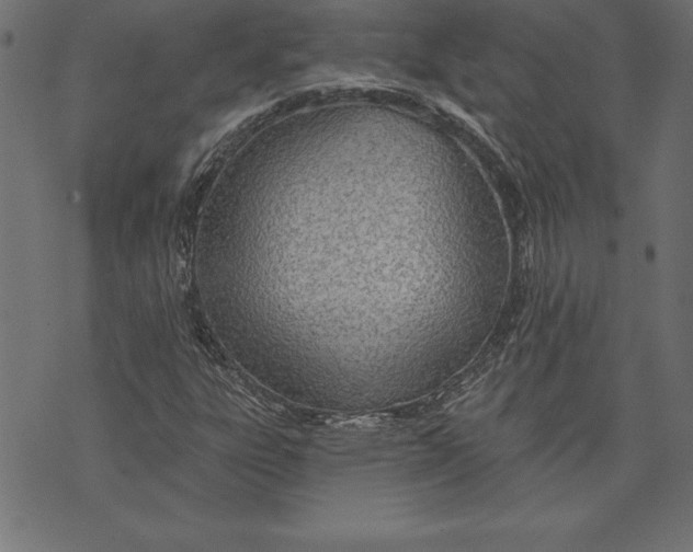 X0000073481303200608211615