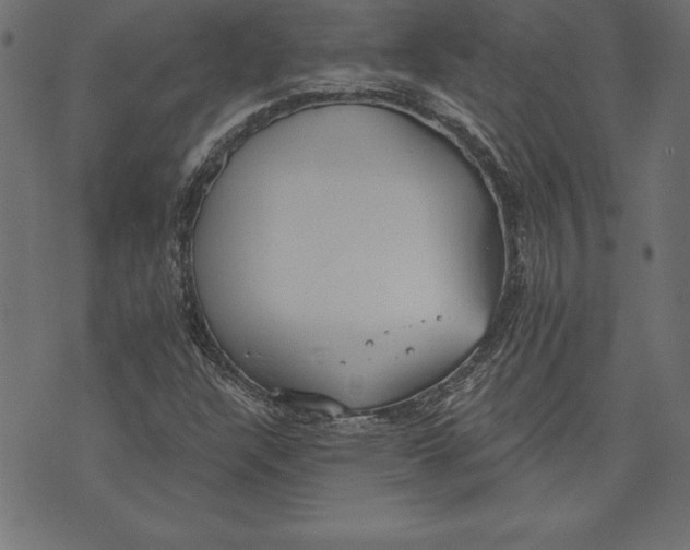 X0000073481304200608211615