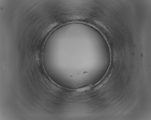 X0000073481305200608211615