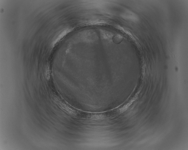 X0000073481306200608211615