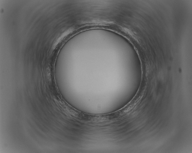 X0000073481307200608211615