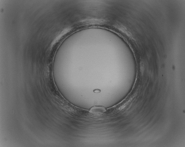 X0000073481309200608211615