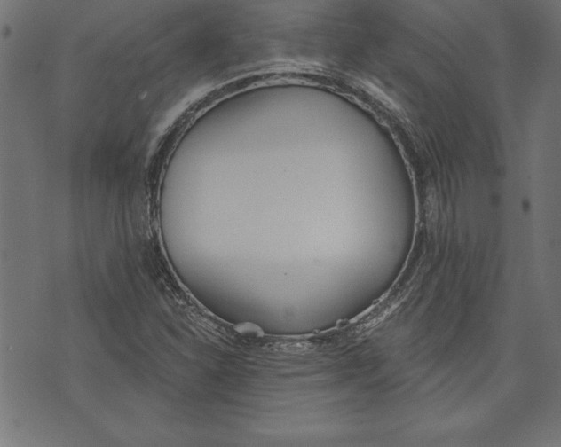 X0000073481310200608211615