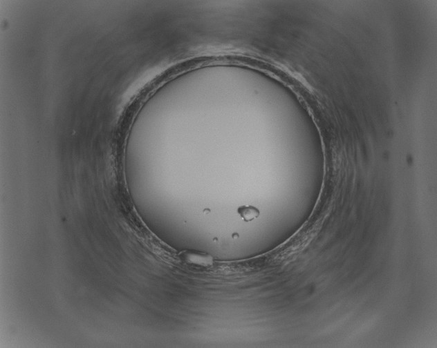 X0000073481311200608211615