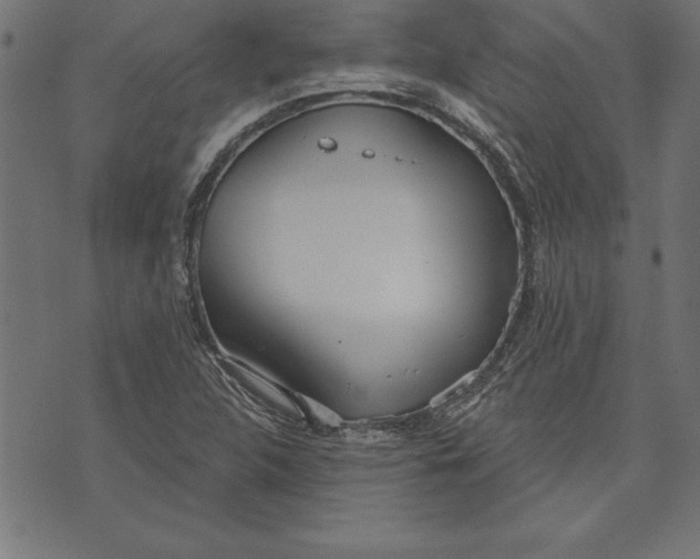 X0000073481312200608211615