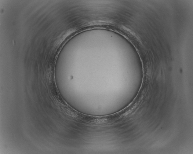 X0000073481313200608211615