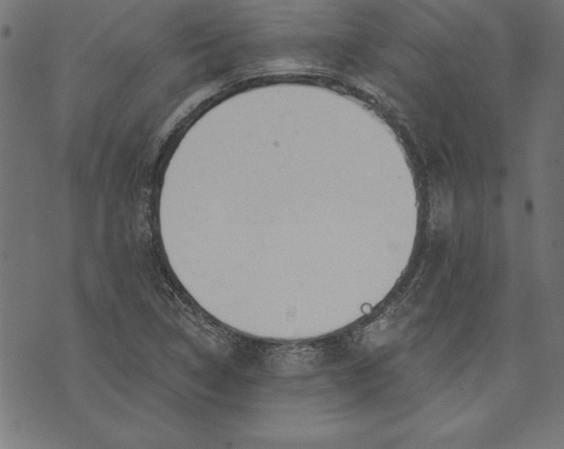 X0000073481314200608211615