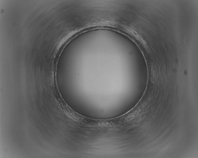 X0000073481316200608211615