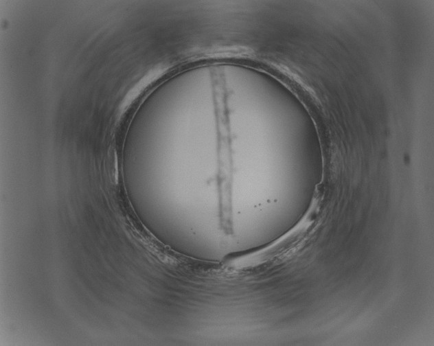 X0000073481317200608211615