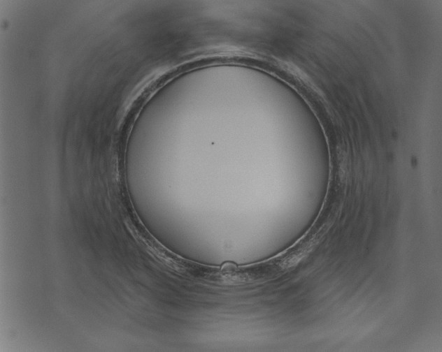 X0000073481318200608211615