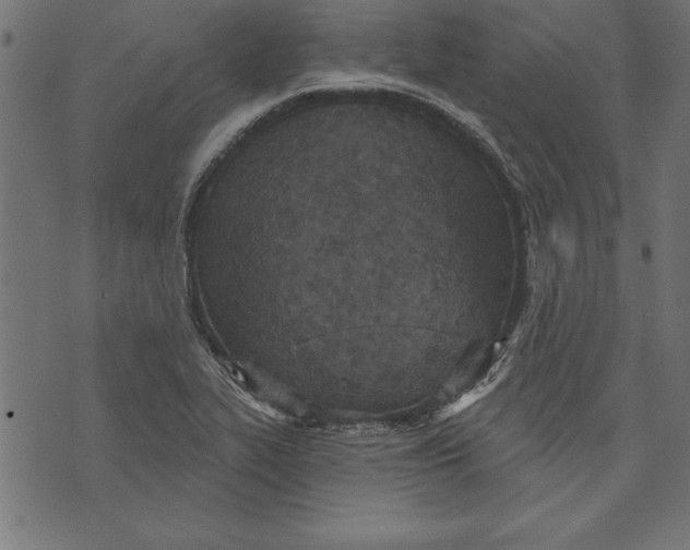 X0000073481319200608211615