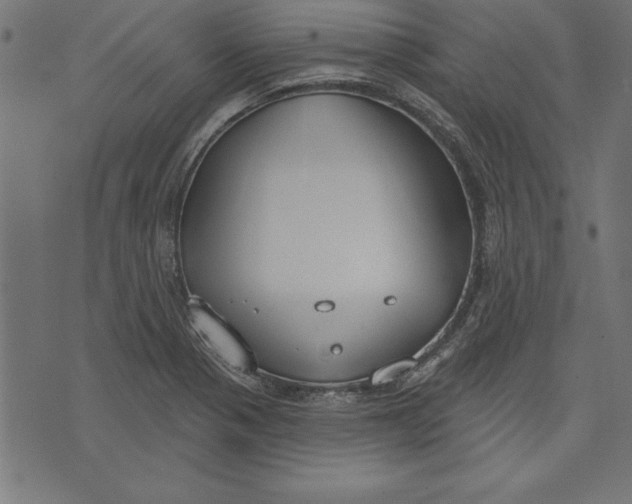 X0000073481321200608211615