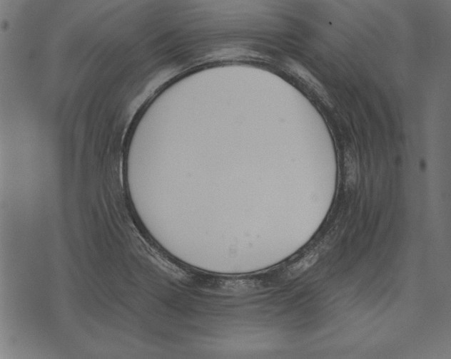 X0000073481322200608211615