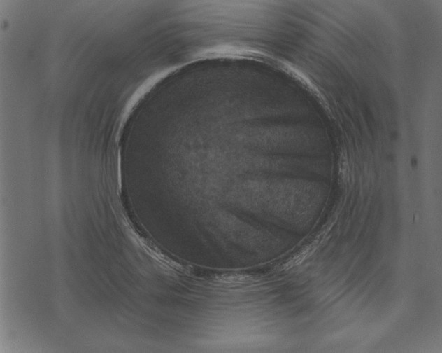 X0000073481323200608211615