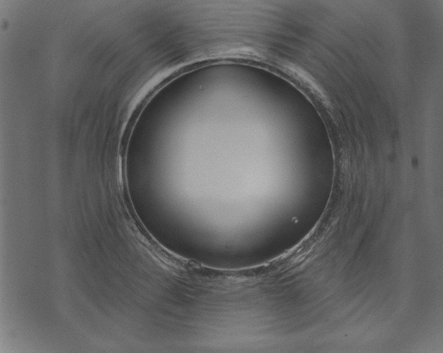 X0000073481324200608211615