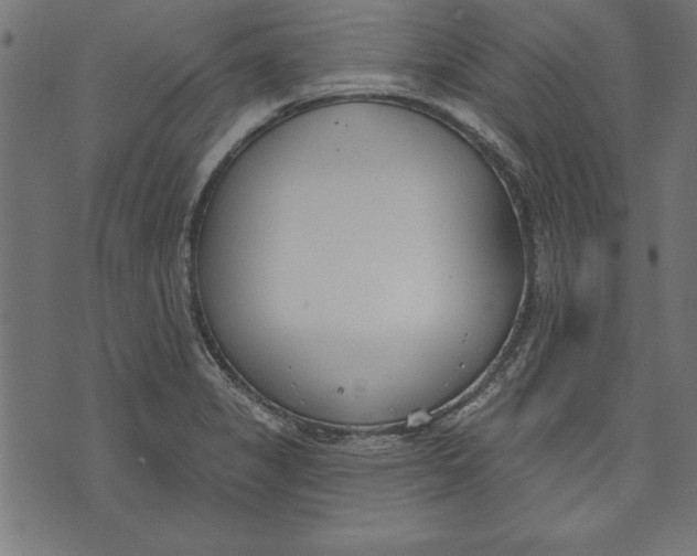 X0000073481325200608211615