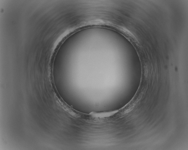 X0000073481326200608211615