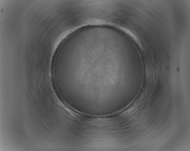 X0000073481327200608211615