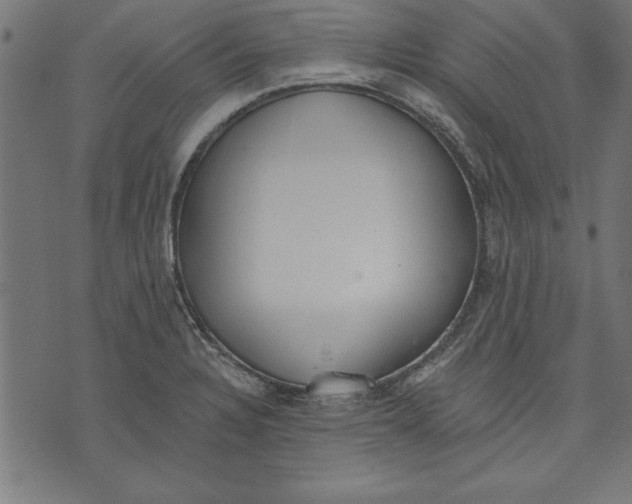 X0000073481328200608211615