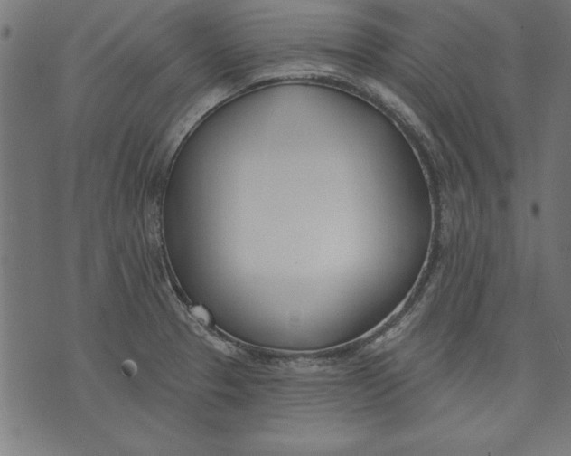 X0000073481329200608211615