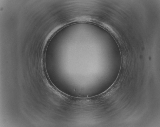 X0000073481331200608211615