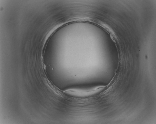 X0000073481332200608211615